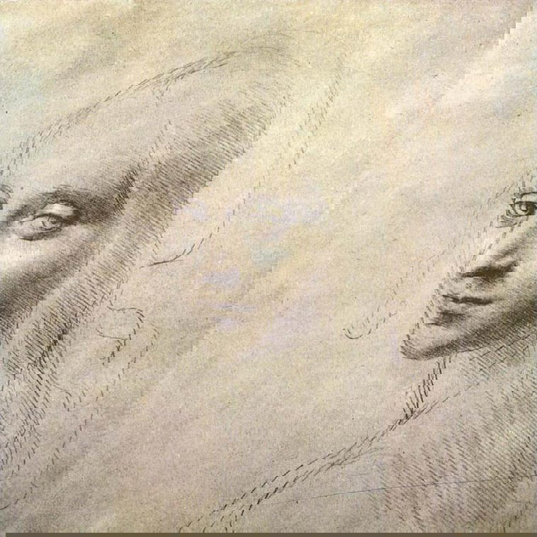Head of a girl (c.a. 1483)