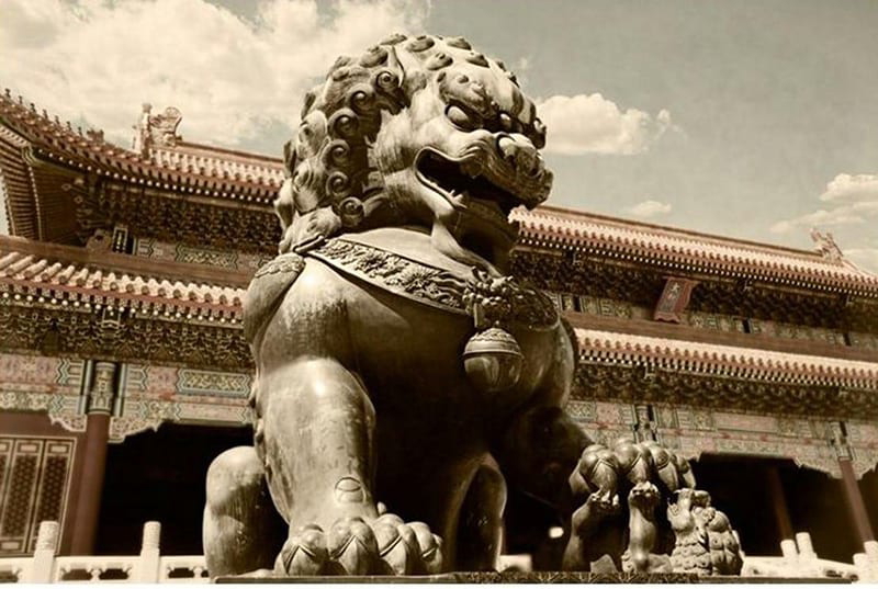 Founded in 2005 in Beijing, China