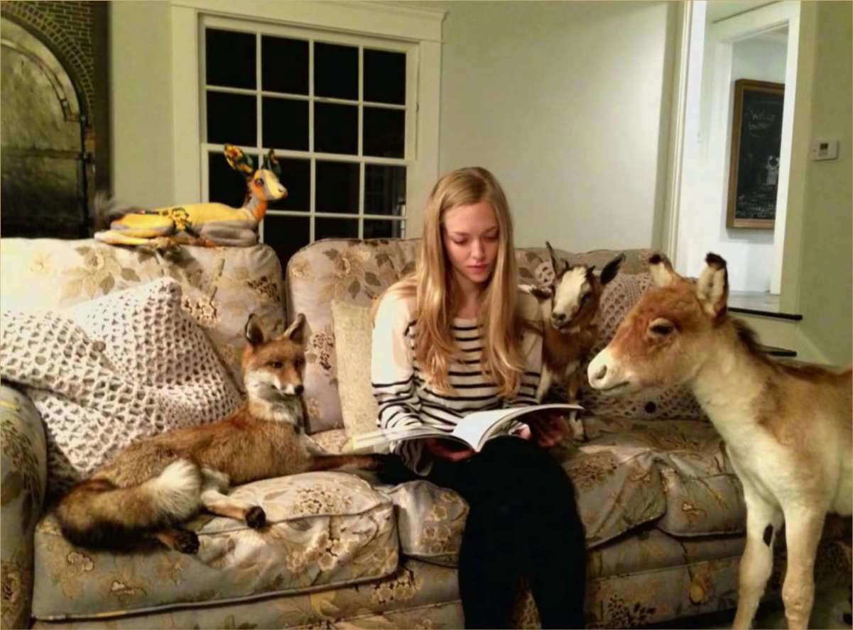 amanda-seyfried-taxidermy-collection