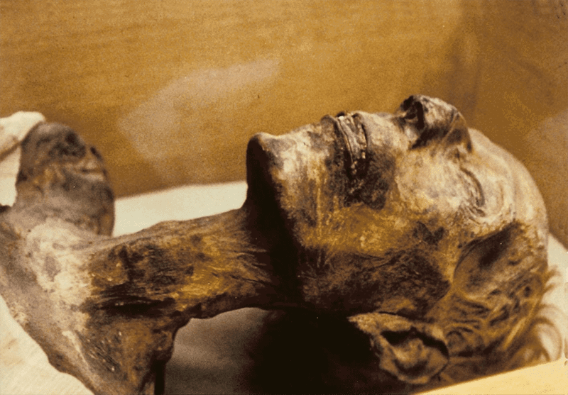 Rameses II Mummy, Egyptian Museum