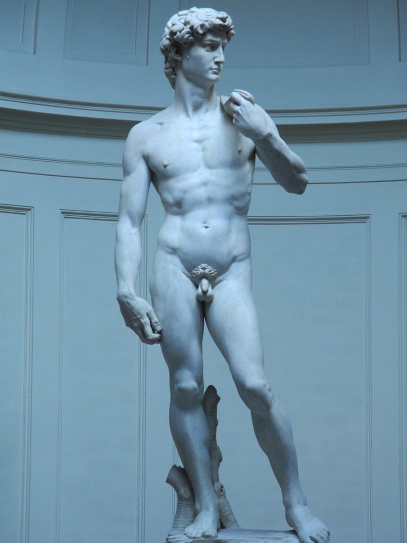 David by Michelangelo Galilei, 1504