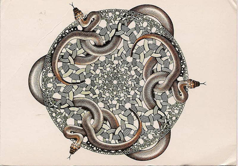 Snakes, 1969