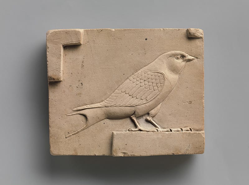 Sculptor’s model of a swallow.
