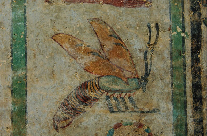 Bee hieroglyph