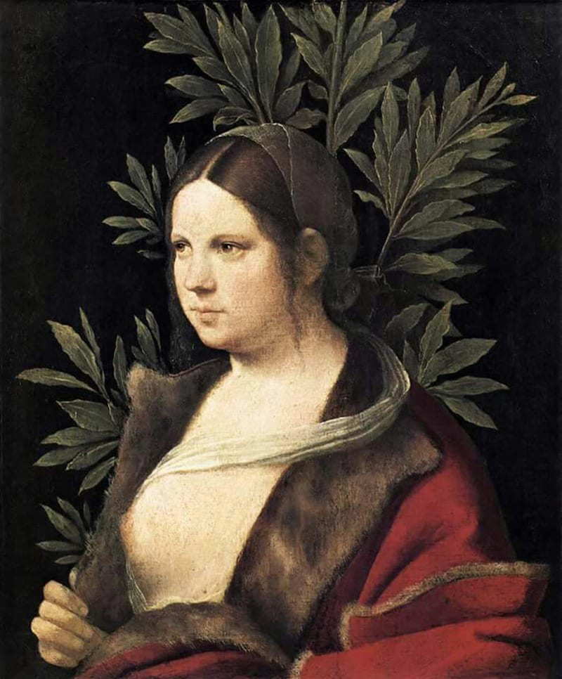 Portrait of a Young Woman, Giorgione, 1506, via Wikiart