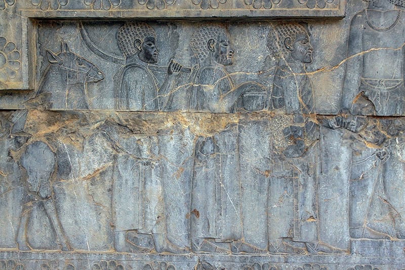 The Nubian delegation - Persepolis Apadana
