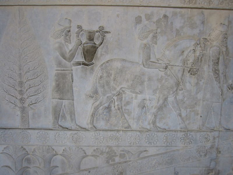 The Armenian delegation - Persepolis Apadana