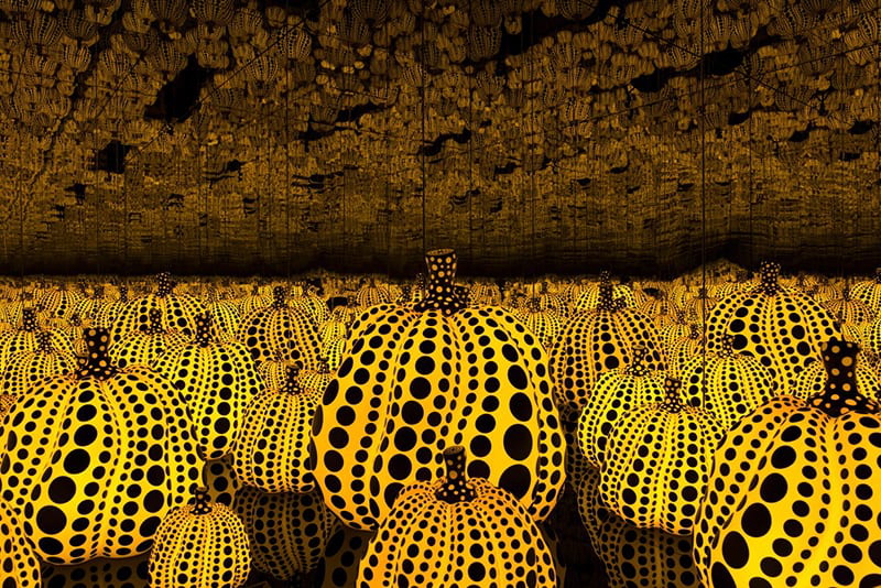 All the Eternal Love I Have for the Pumpkins, 2016