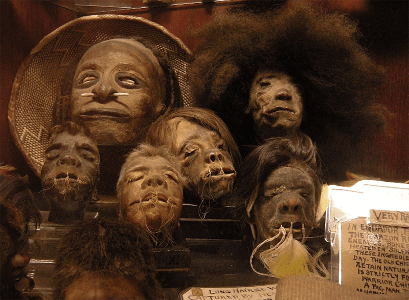 A collection of shrunken heads in display in “Ye Olde Curiosity Shop” in Seattle, Washington, via Wikipedia, 2008.