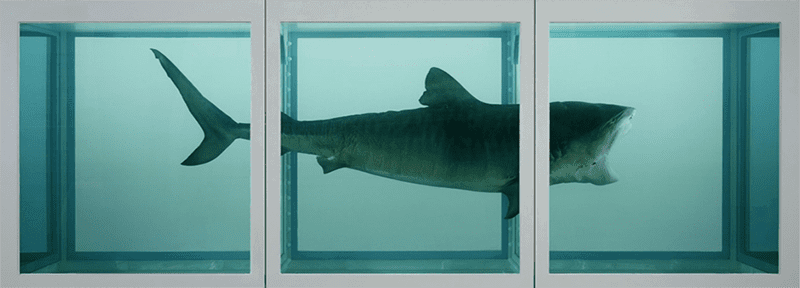 The Physical Impossibility of Death in the Mind of Someone Living, 1991, sold by Charles Saatchi to a U.S. hedge fund manager for £6.5 million in 2004.