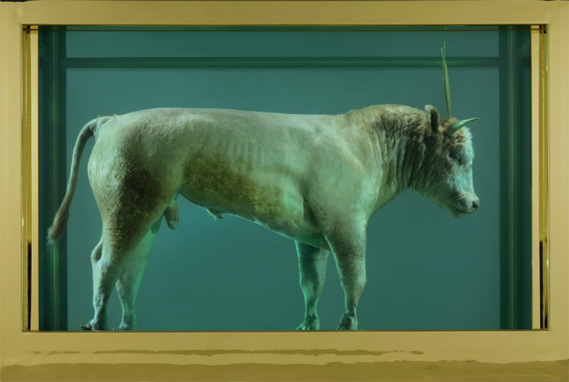 Hirst’s sculpture The Golden Calf, 2008, sold for £10.3 million at Sotheby’s in 2008.