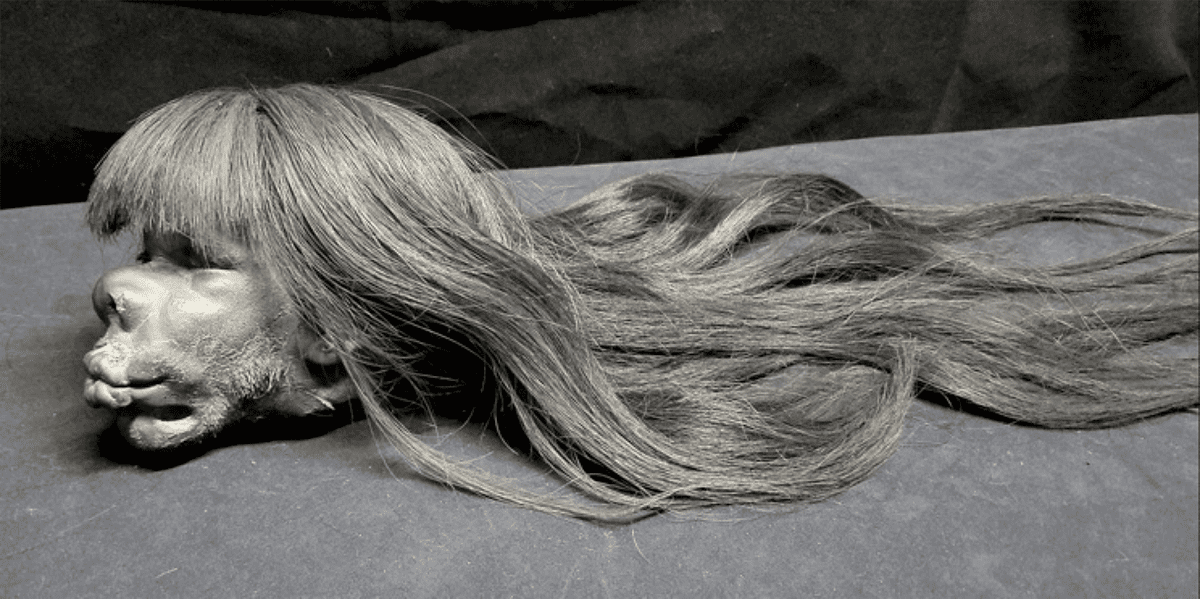 “Tsantsa” or Shrunken Head of a warrior, via Real Shrunken Heads, 2017.