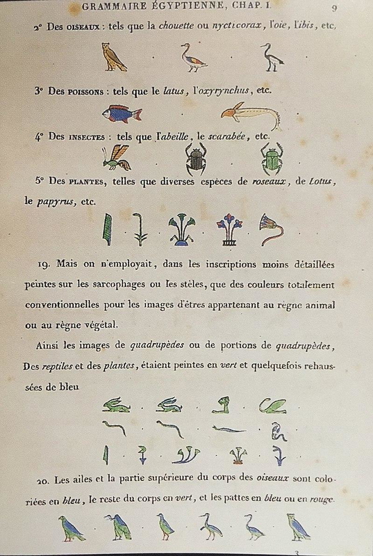 Opening of Champollion, p. 1.jpgA page from Grammaire égyptienne, 1836