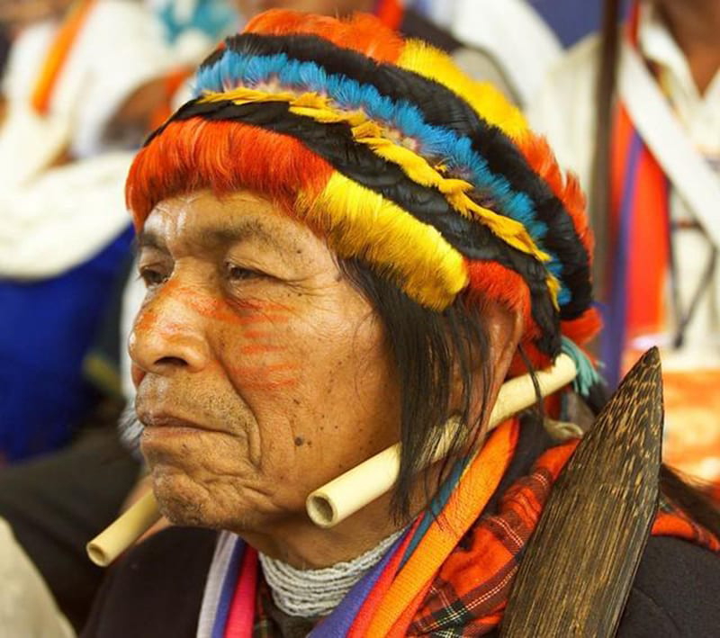 Pwanchir Pitu, Achuar shaman, Jivaroan indigenous person from northern Peru or eastern Ecuador