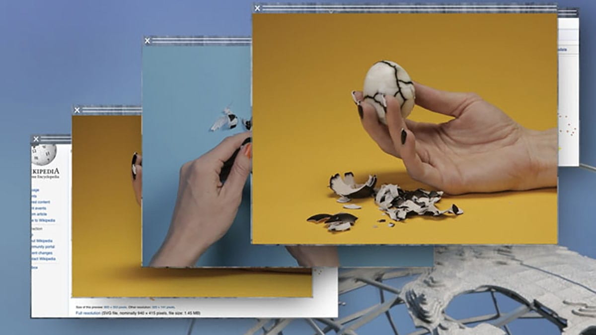 set of photographs of an egg pieced together
