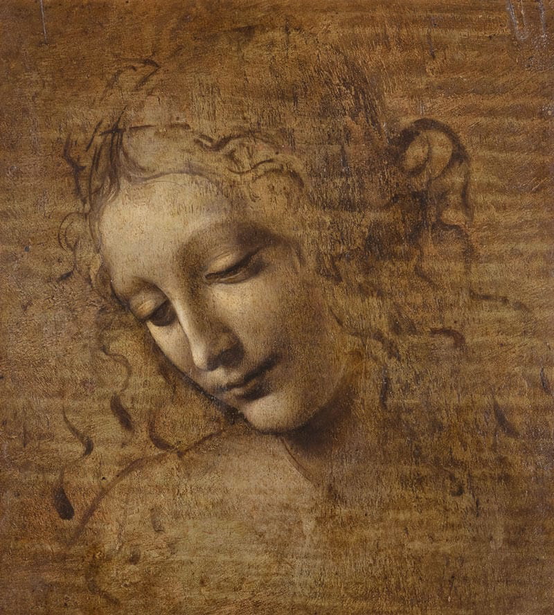La Scapigliata Leonardo da Vinci