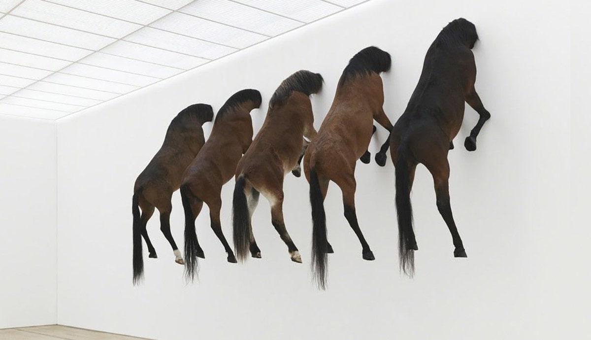View of Exhibition KAPUTT, Maurizio Cattelan, 2013