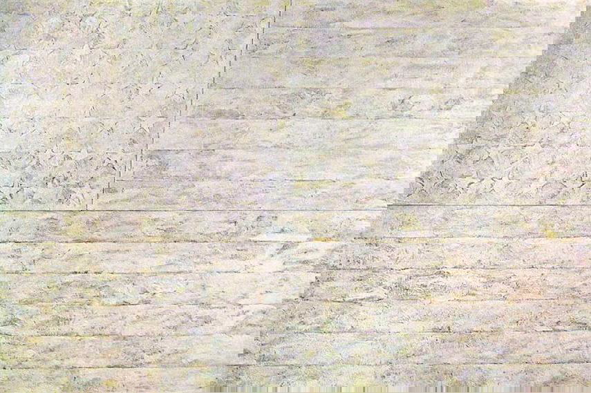 Jasper Johns, White Flag, 1955, The Met