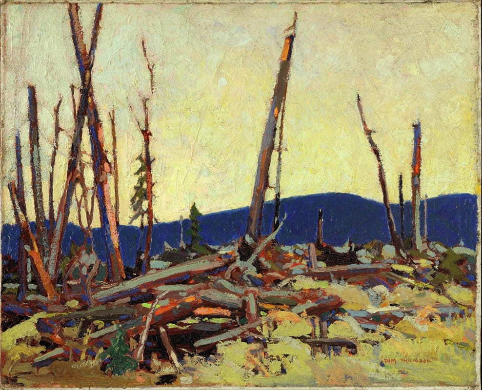 burnt land painting tom thomson