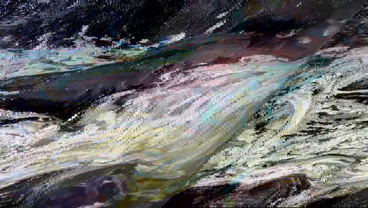 rapids painting tom thomson