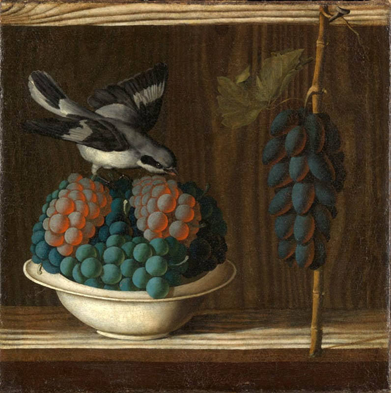 still life grapes and bird