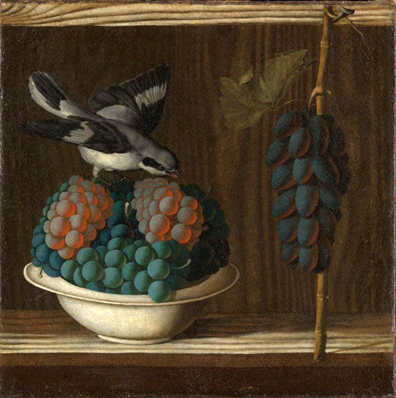 still life grapes and bird