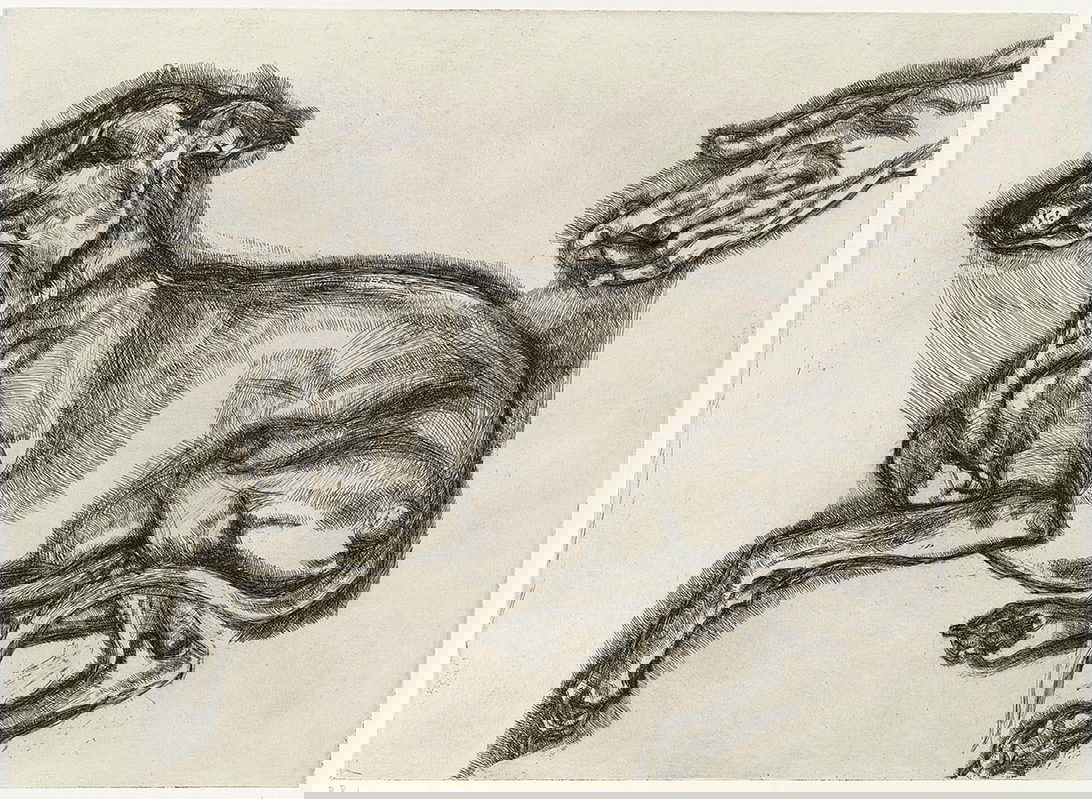 lucian freud pluto dog