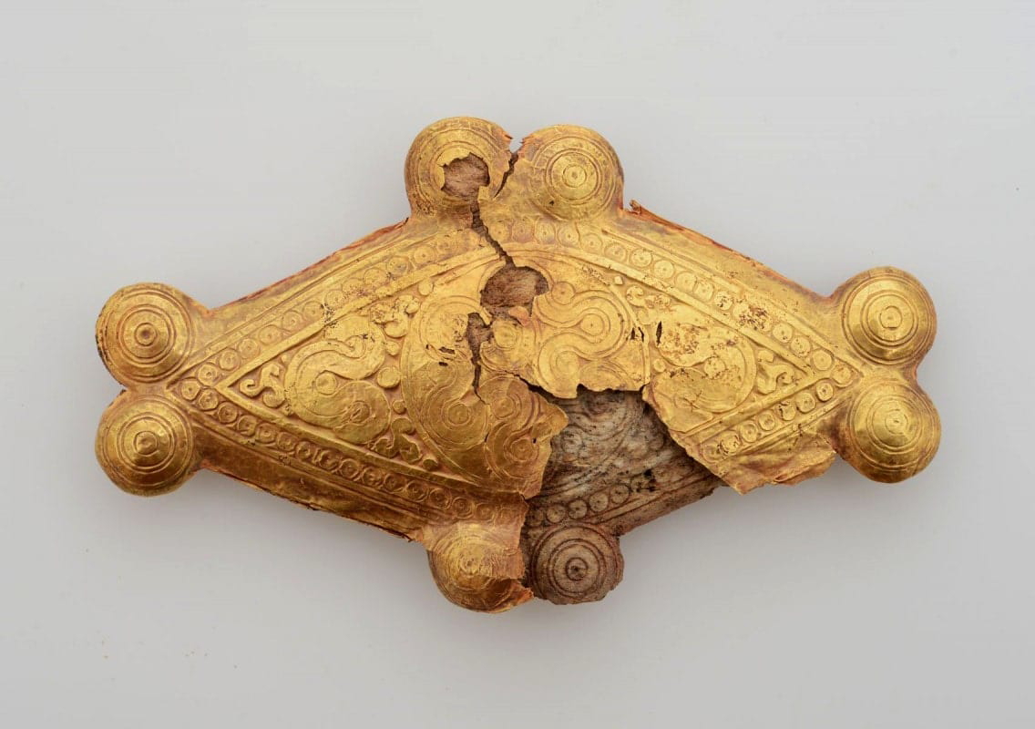 gold bone button