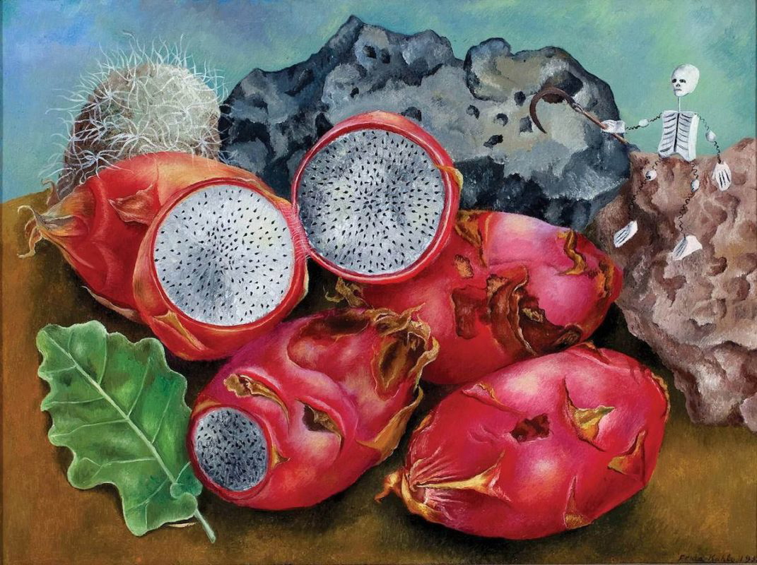 frida kahlo pitahayas