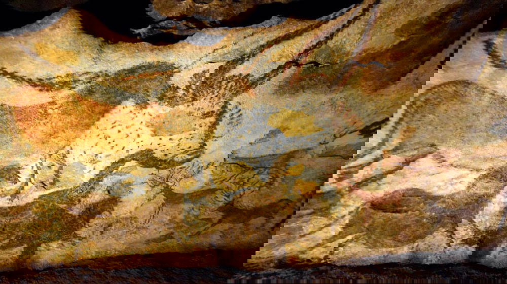 details lascaux cave