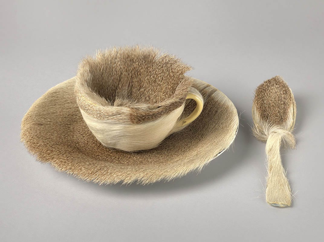 meret oppenheim object in fur
