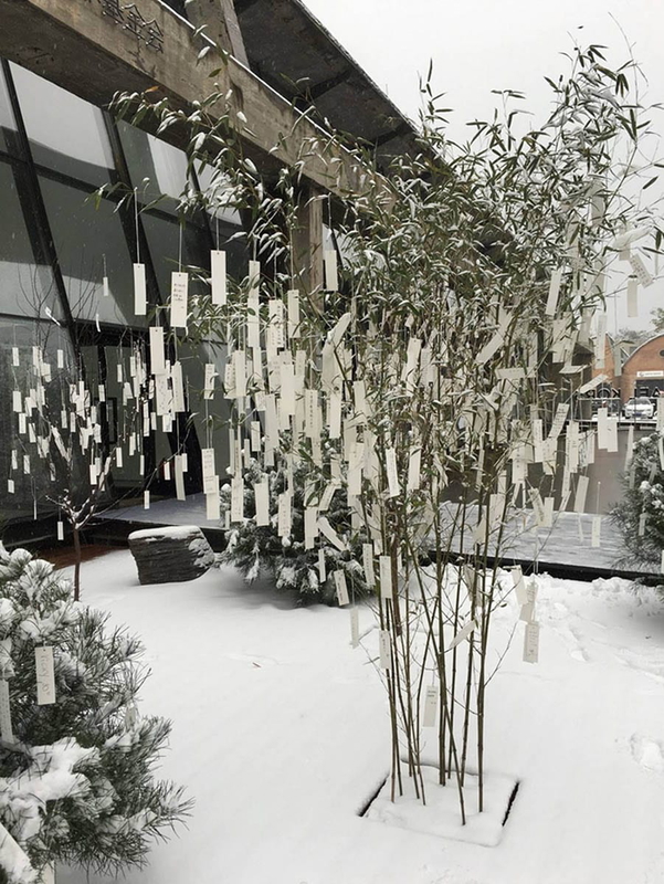 wish trees beijing yoko ono