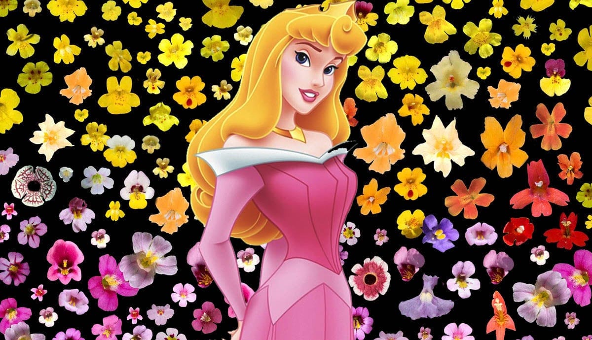 sleeping beauty aurora
