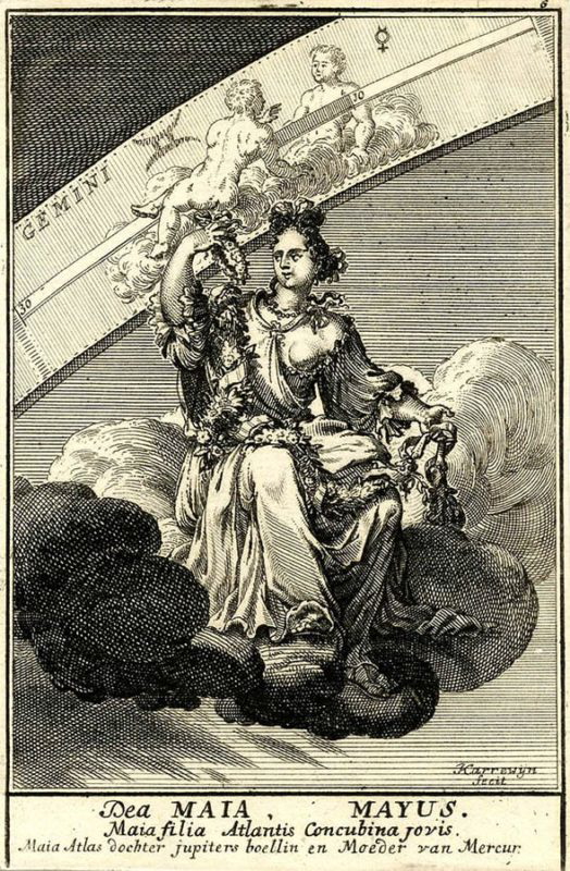 maia