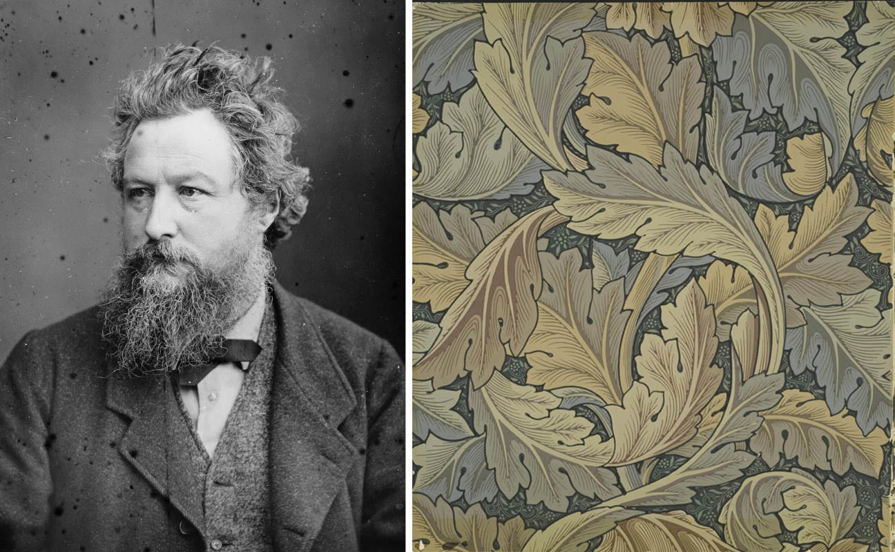 william morris ascanthus