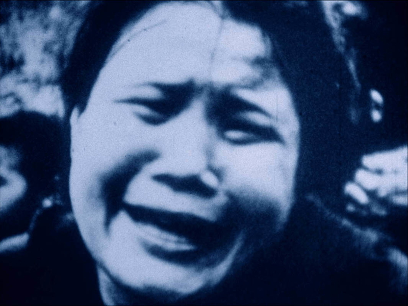 viet flakes carolee schneeman
