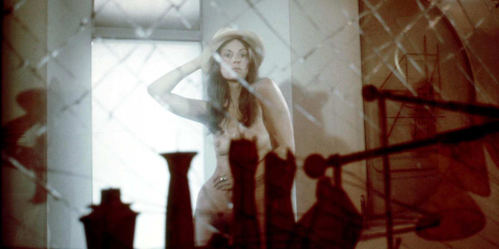 through the looking glass hannah wilke