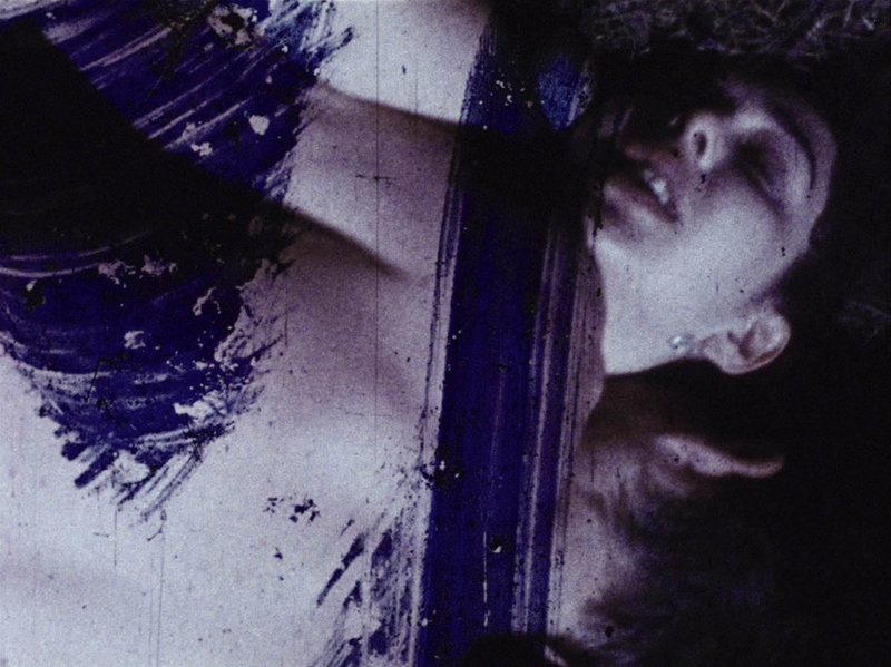 fuses carolee schneeman
