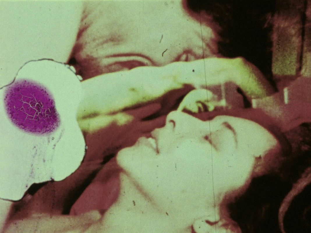 fuses carolee schneeman