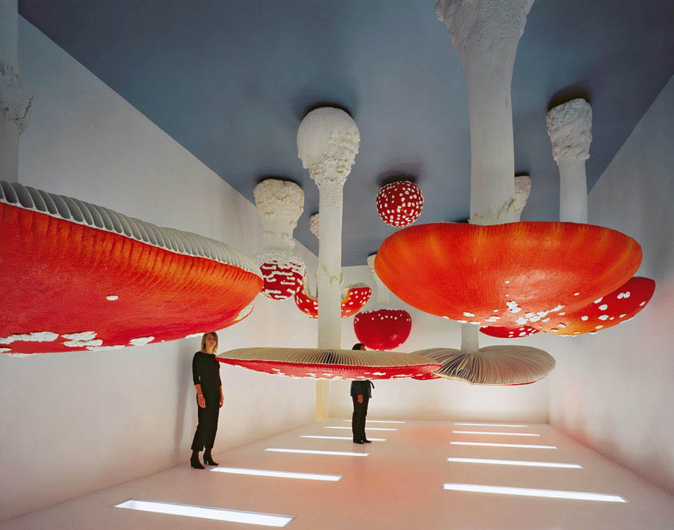 mushroom room carsten holler
