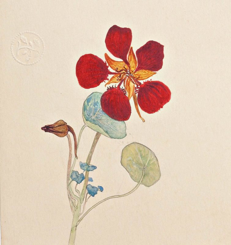 Cress by Hilma af Klint