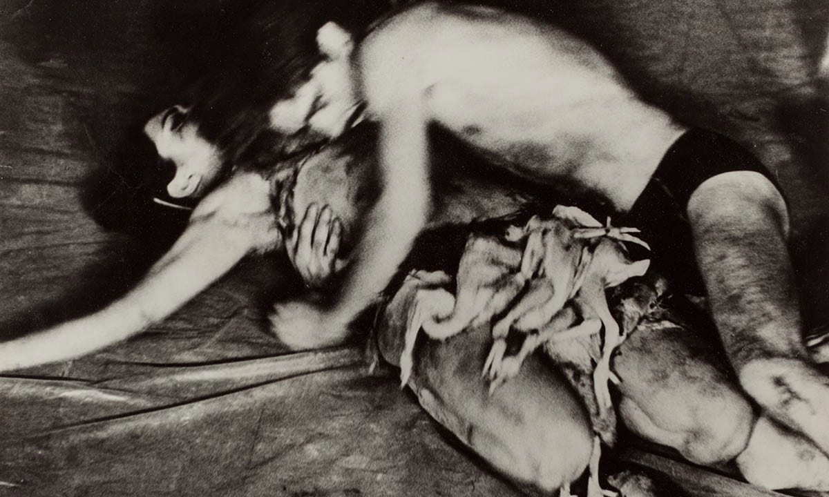 meat joy carolee schneeman