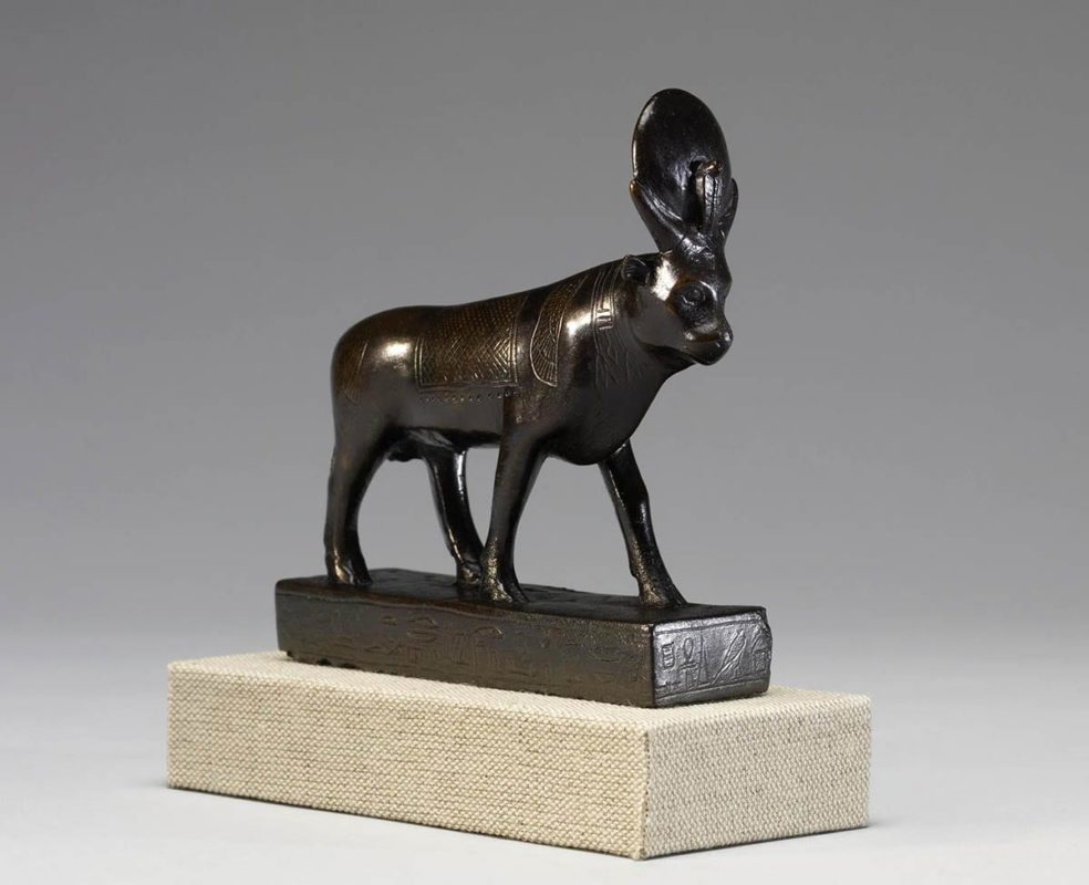 figure of apis bull