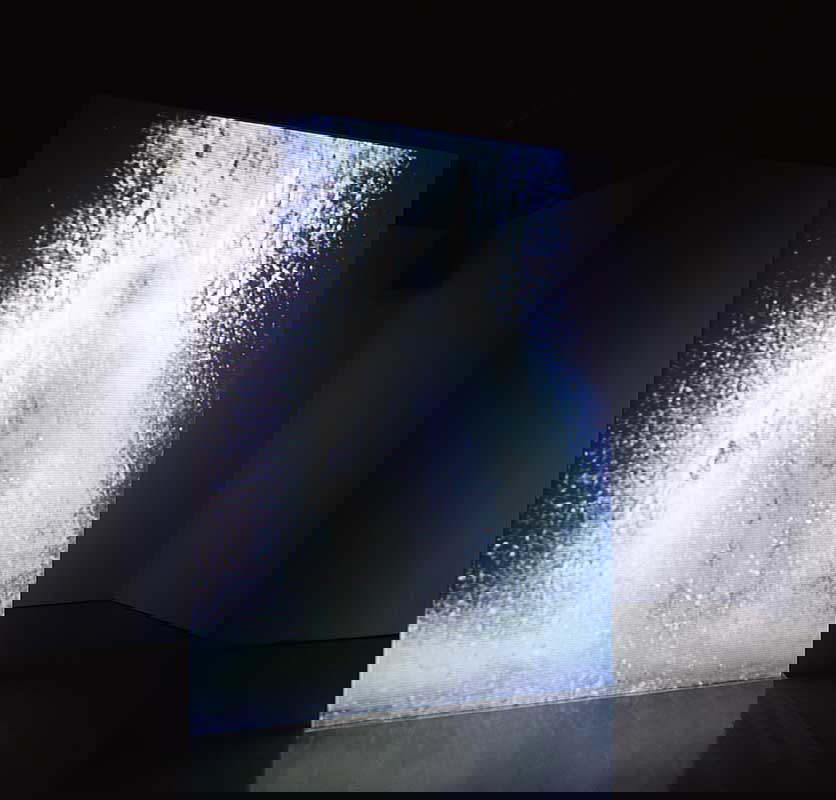 the crossing bill viola