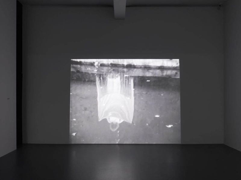 joan jonas disturbances