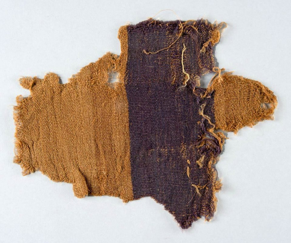 phoenician purple dye
