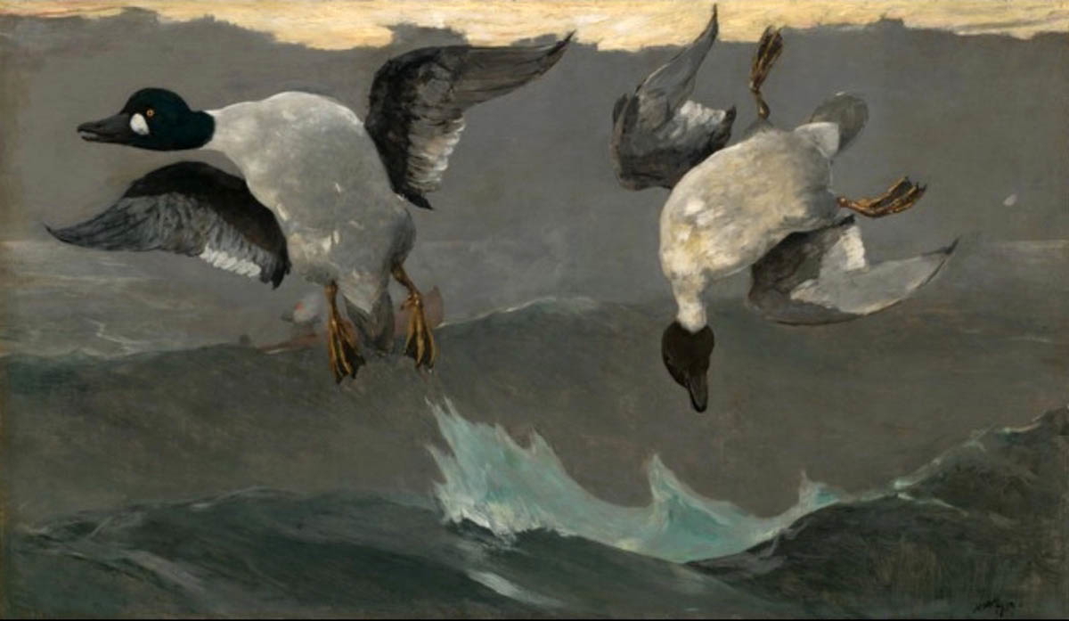 right and left winslow homer