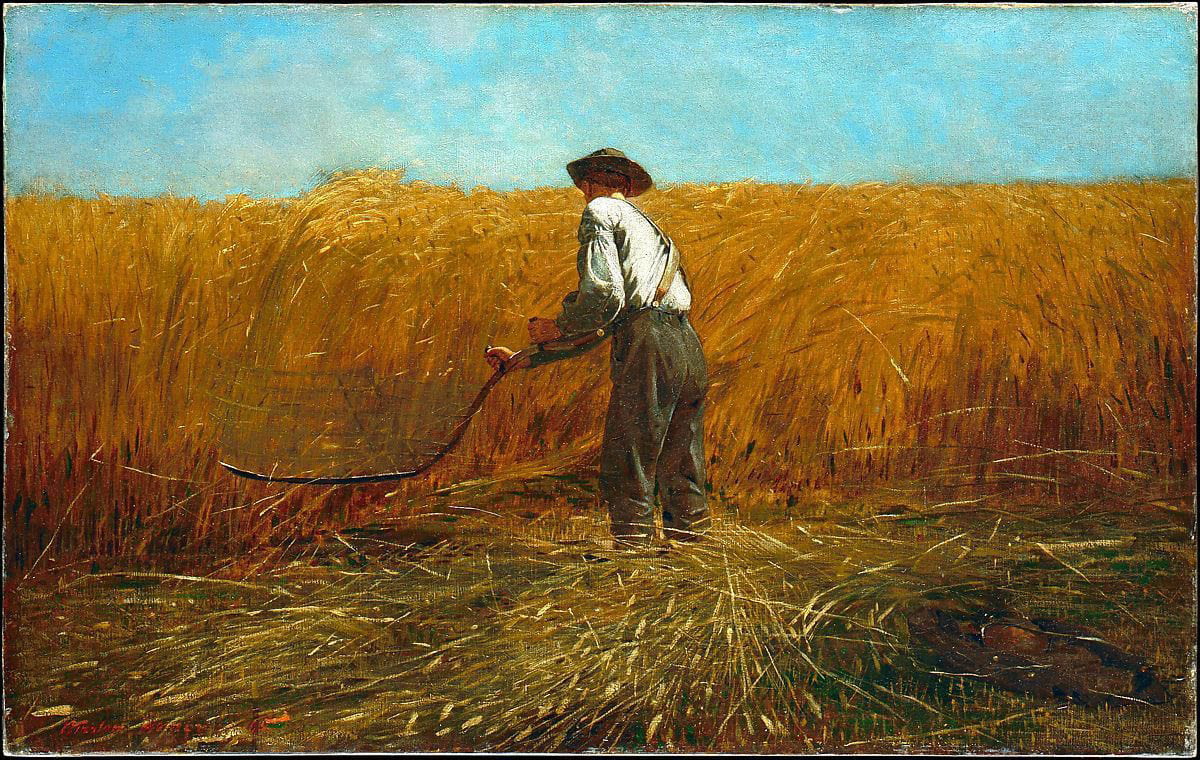 veteran in a field winslow homer