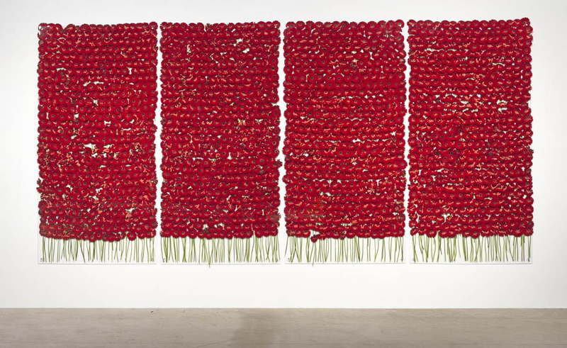 preserve beauty anya gallaccio