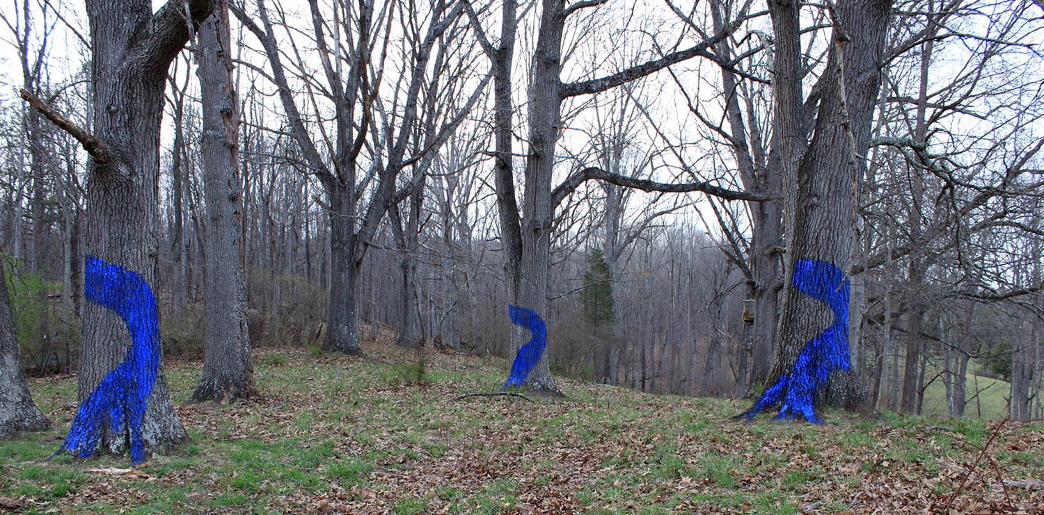 blue trees symphony aviva rahmani